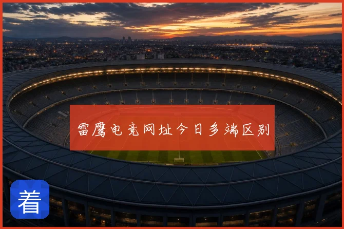 雷鹰电竞网址今日多端区别